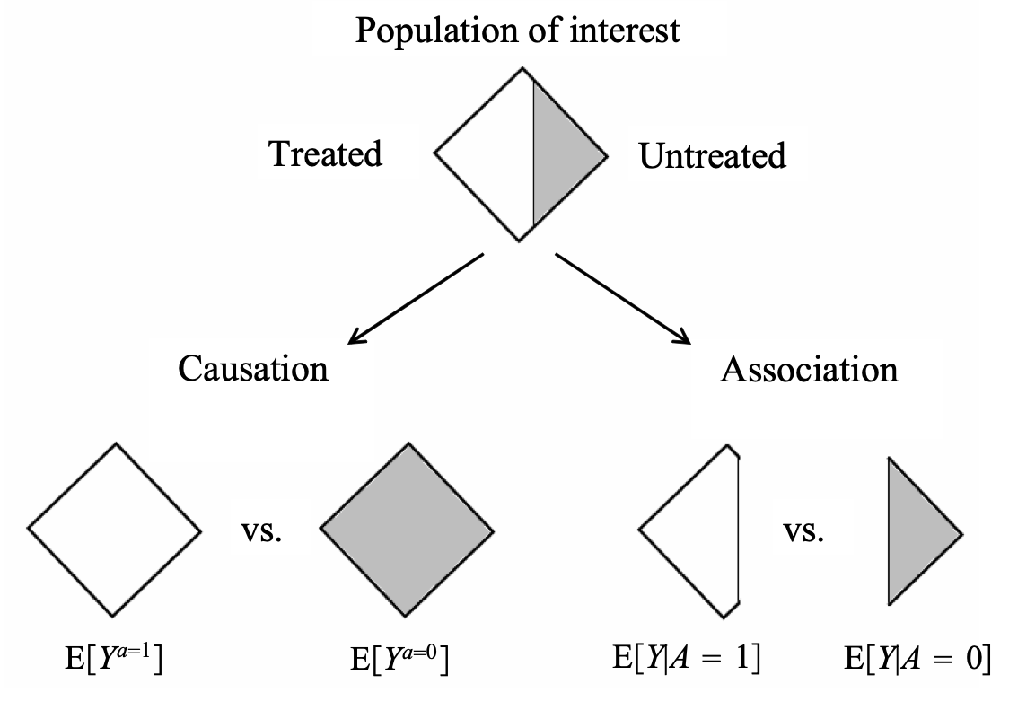 Difference between means of counterfactuals and conditional means (Figure 1.1. from Hern\'an and Robins, Causal Inference: What if, 2020).